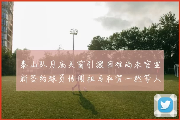 泰山队月底关窗引援困难尚未官宣新签约球员传闻祖马和贺一然等人